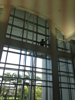 Window Cleaning Dade